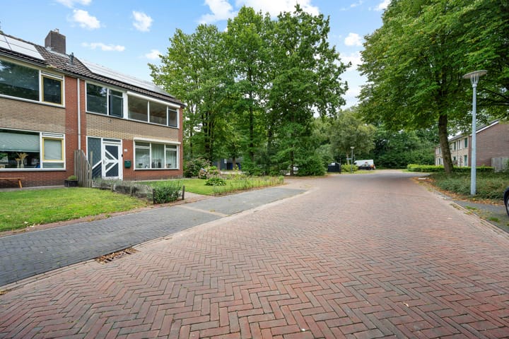 Foto 29 van Nassaustraat 28