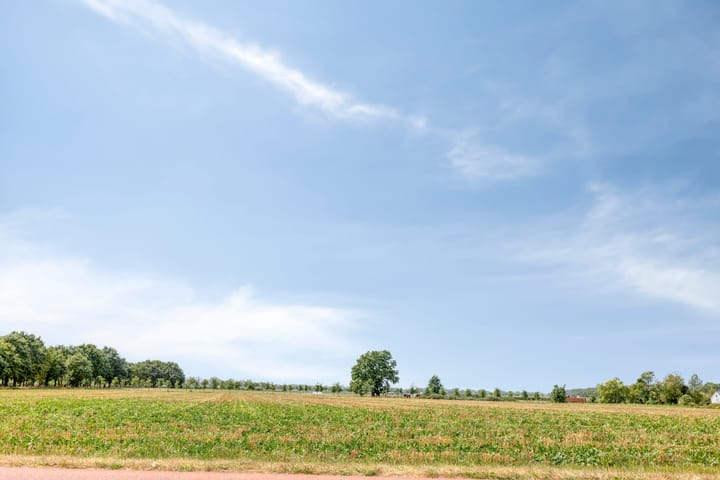 Photo 47 of Hoofdstraat 37