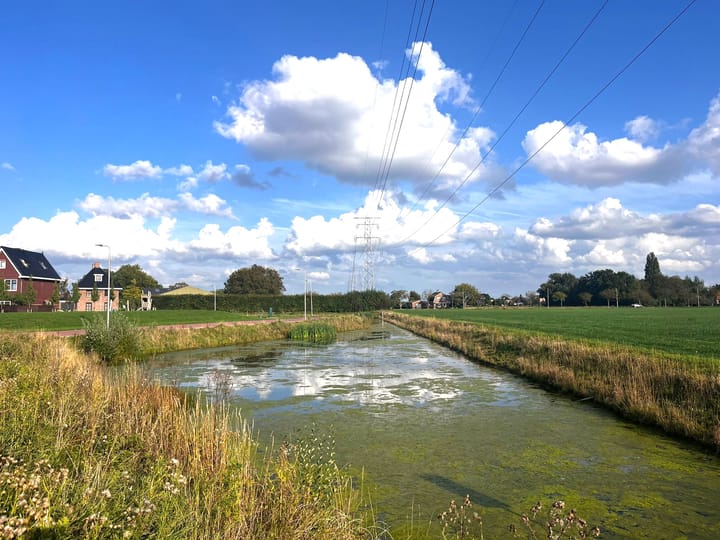 Foto 76 van Weegbree 61