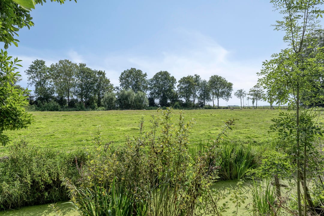 Foto 46 van Schepperijlaan 58