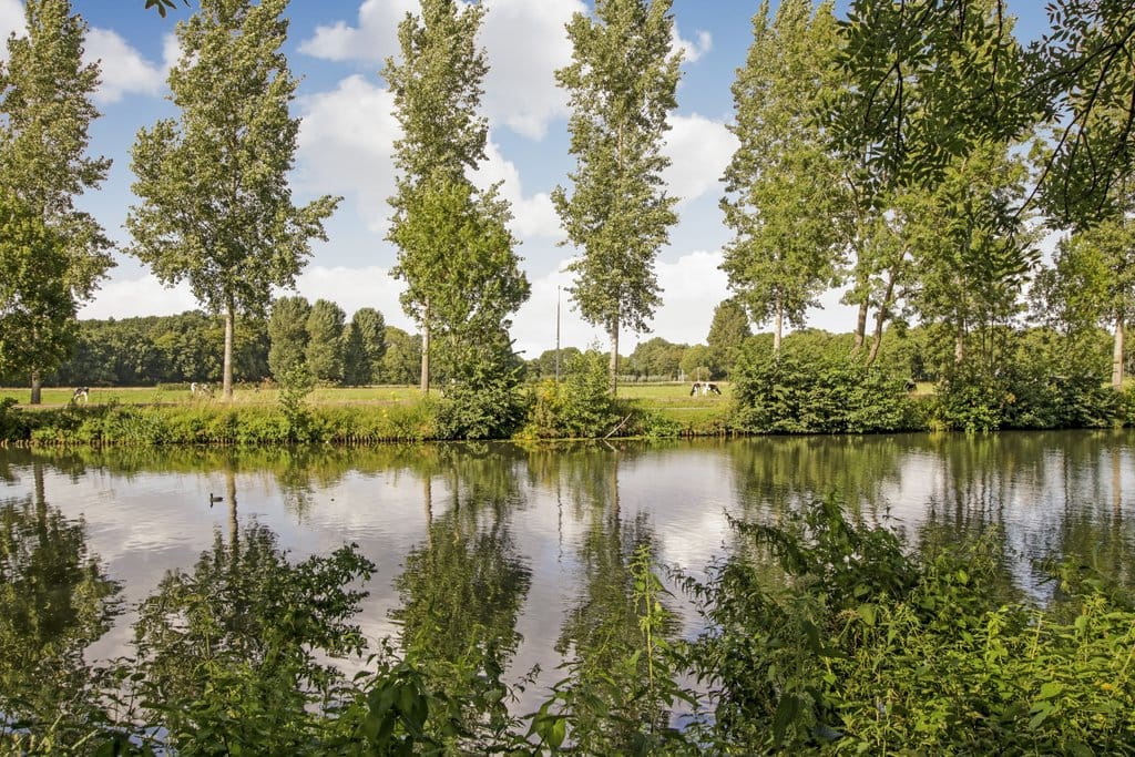 Foto 29 van Burgemeester Norbruislaan 482