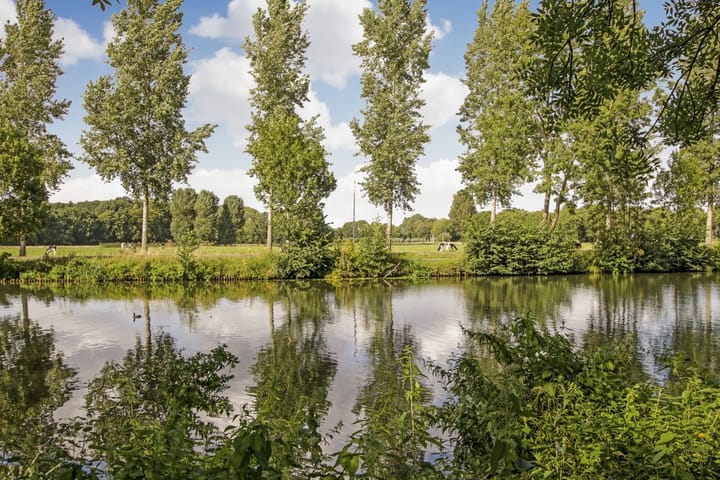 Foto 29 van Burgemeester Norbruislaan 482