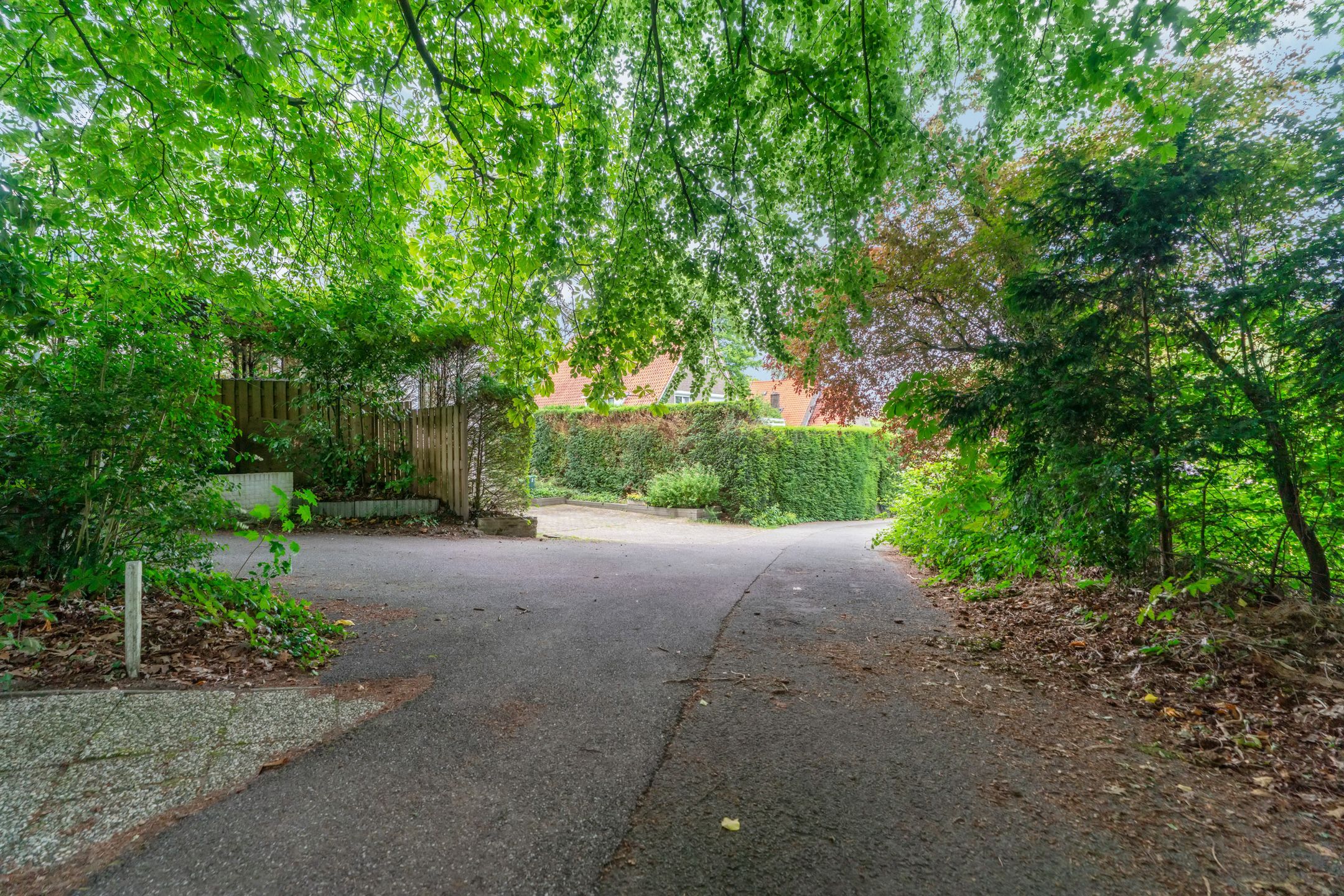 Foto 48 van Van Westrheenelaan 2