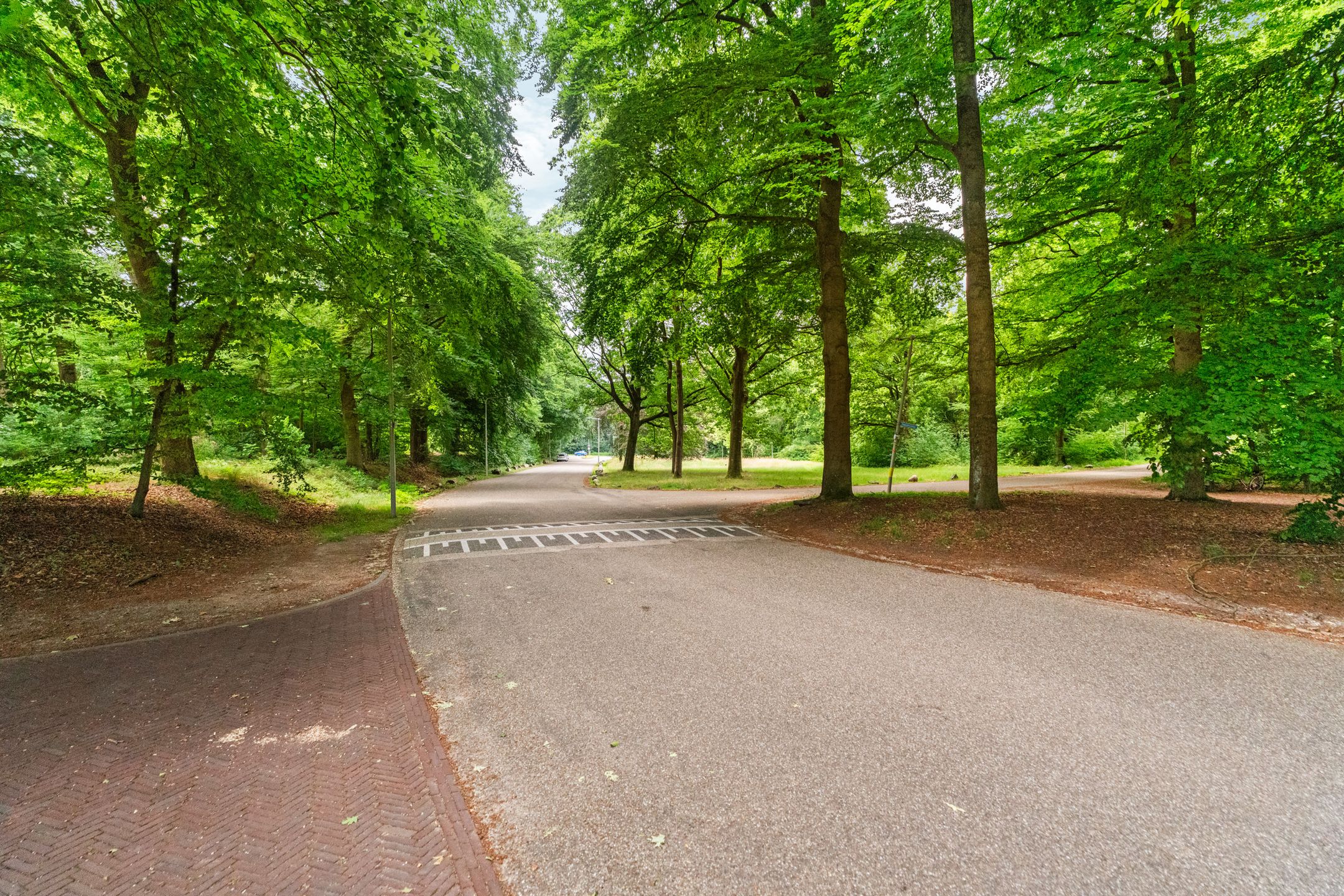 Foto 51 van Van Westrheenelaan 2