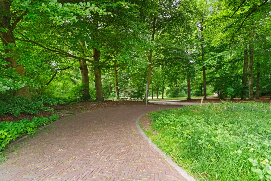 Foto 53 van Van Westrheenelaan 2