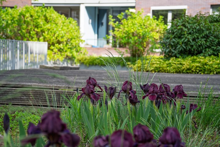 Foto 51 van Verlengde Statenlaan 55