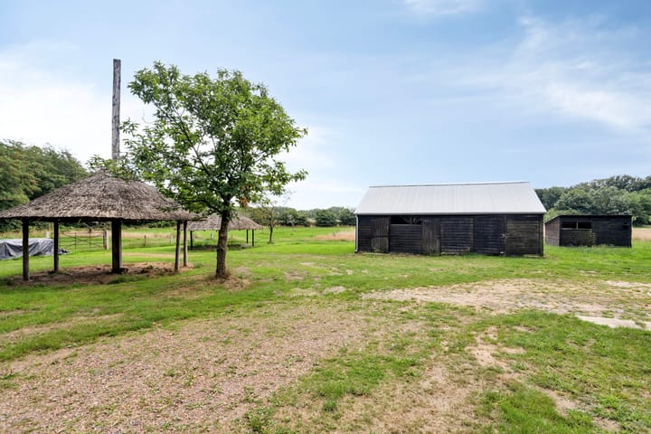 Foto 50 van de Eldersmaat 1