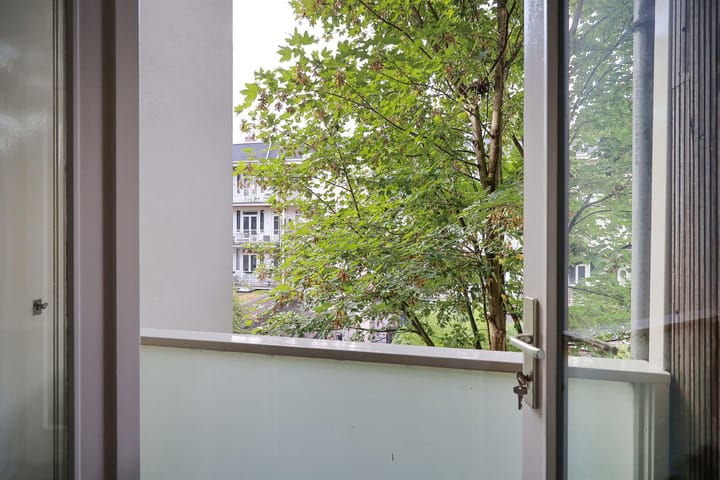 Foto 18 van Borgerstraat 214-B