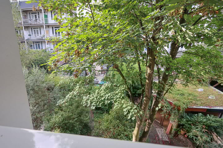 Foto 19 van Borgerstraat 214-B