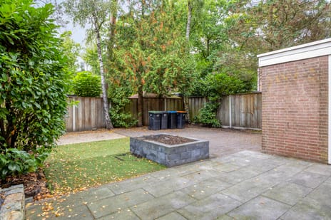 Berkenoord 67 tertiary image