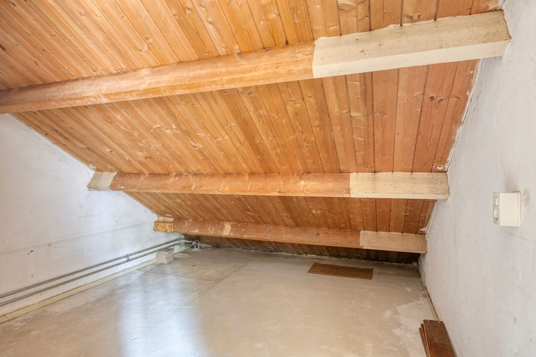 Foto 23 van Berkenoord 67