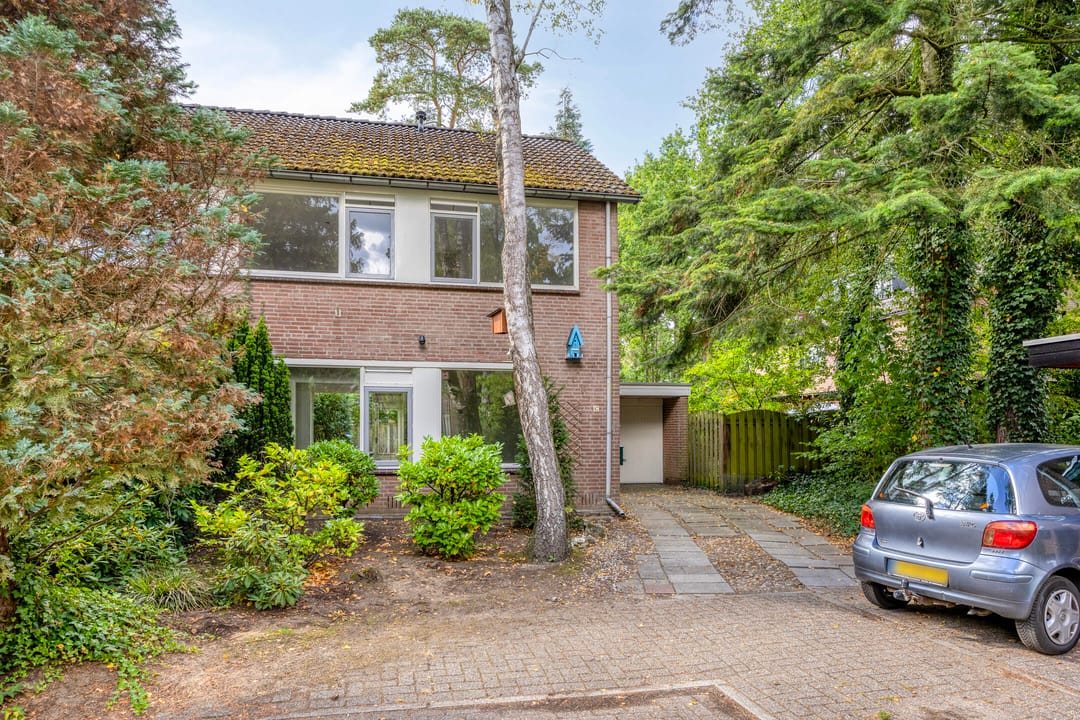 Foto 28 van Berkenoord 67