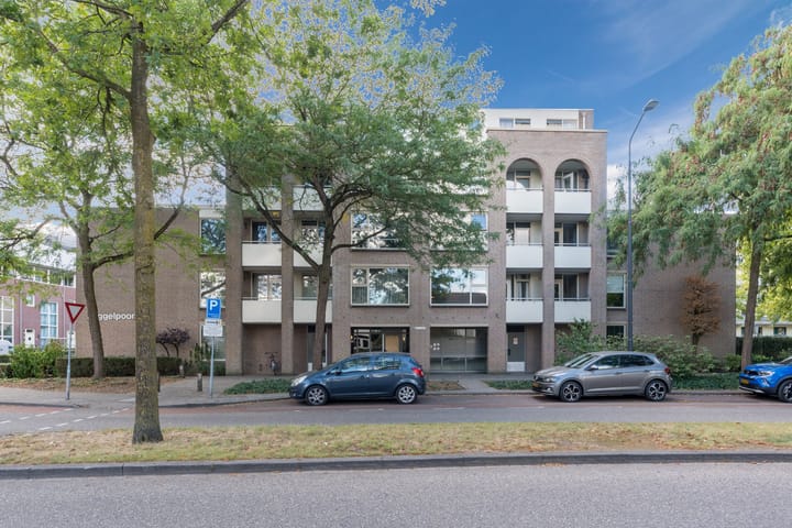 Wilhelminastraat 217