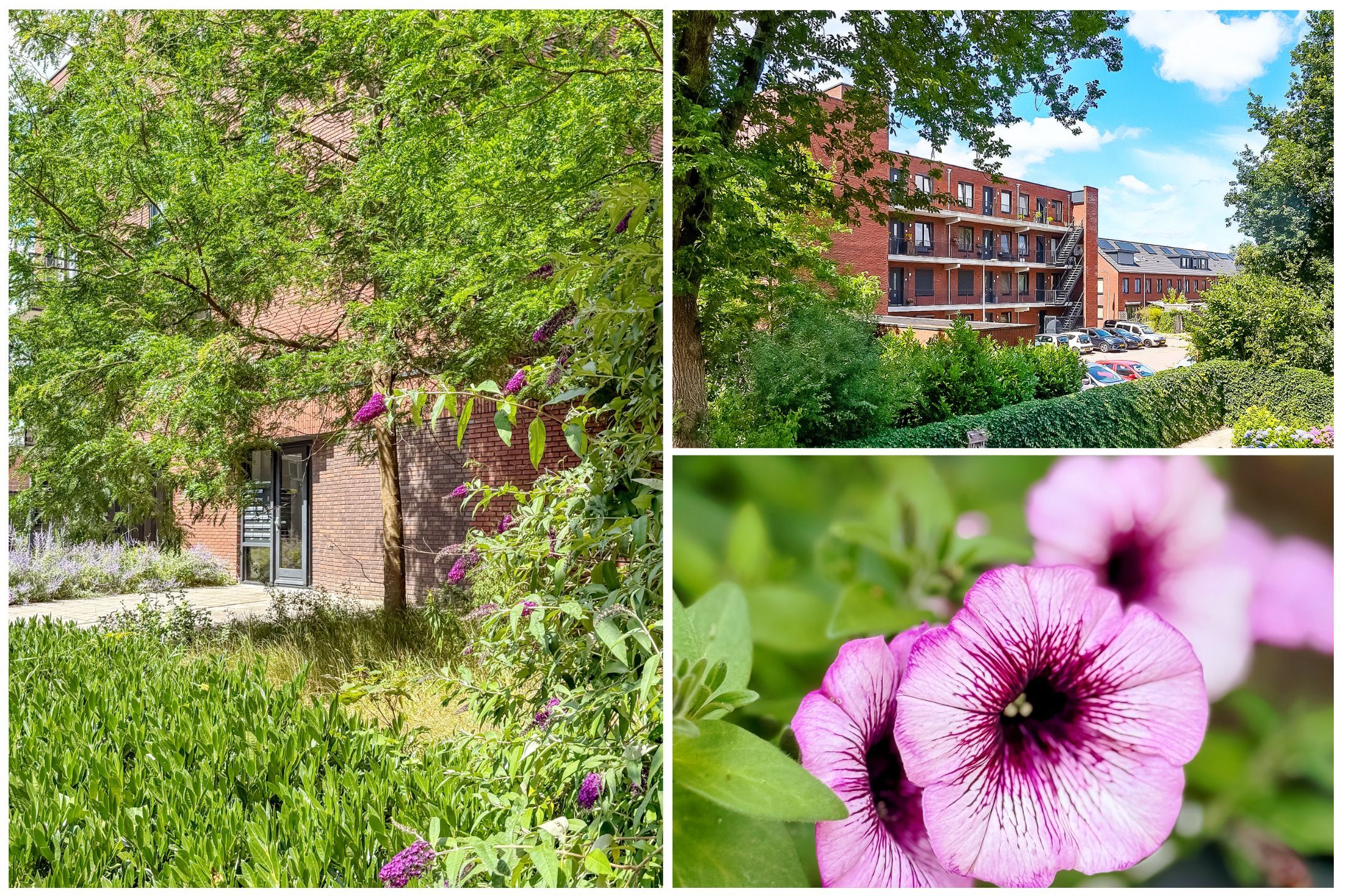 Foto 6 van Roerdomplaan 51