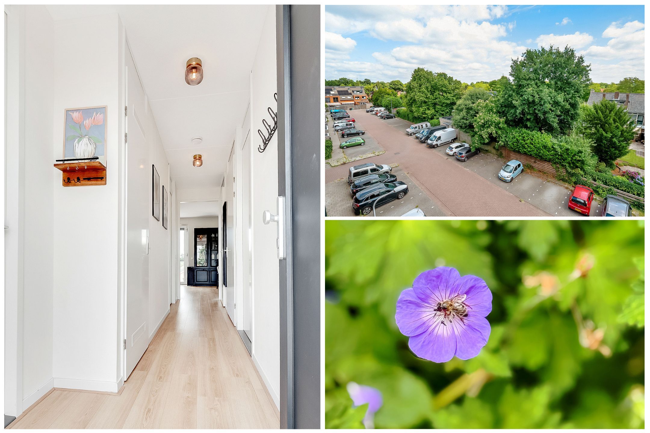 Foto 9 van Roerdomplaan 51