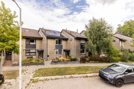 undefined main image