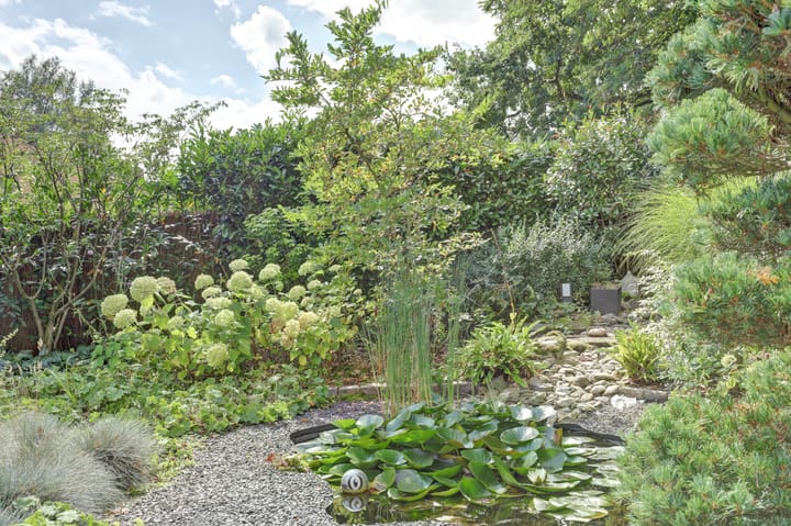 Photo 30 of Elsmaathorst 27