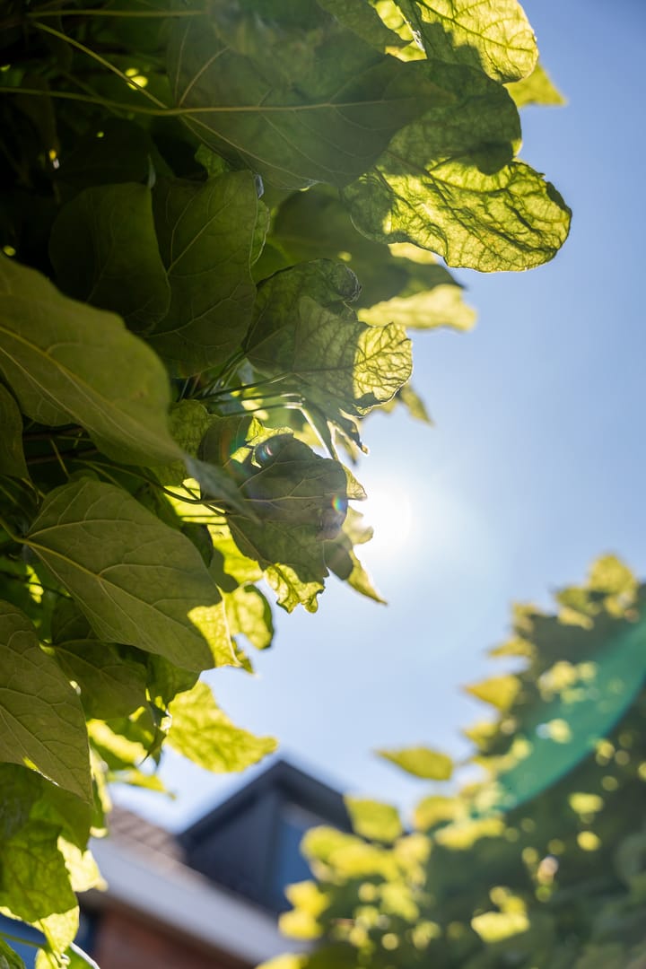 Foto 40 van Wilgendal 23