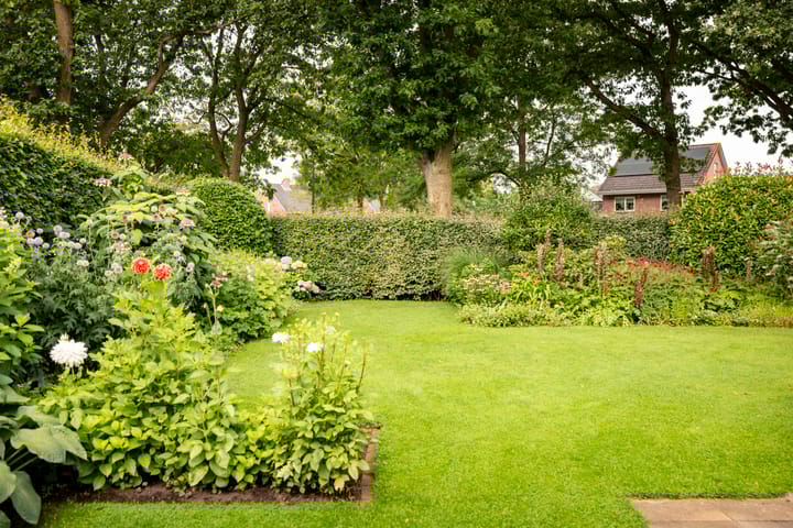 Foto 2 van Adriaen de Vrieslaan 9