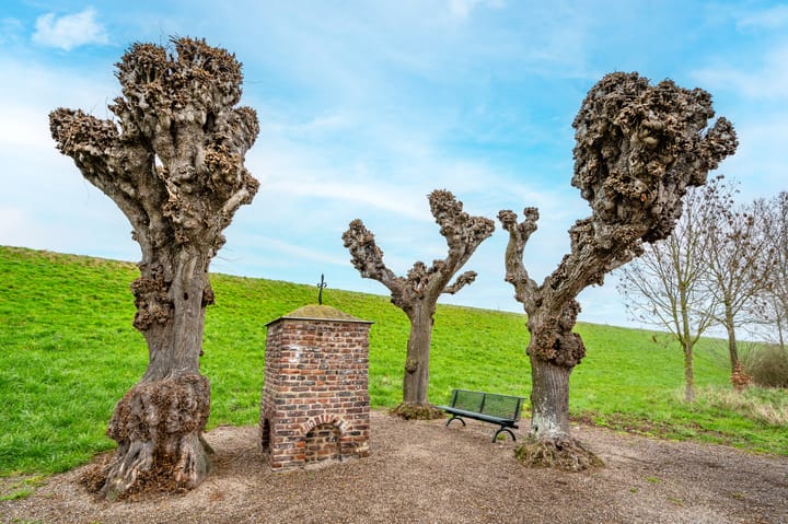 Foto 38 van Roefstraat 14