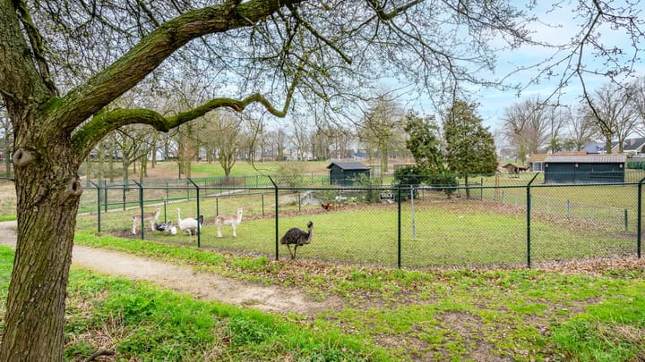 Foto 40 van Roefstraat 14