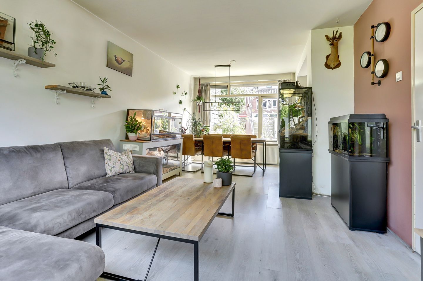 Photo 5 of Bolerostraat 71