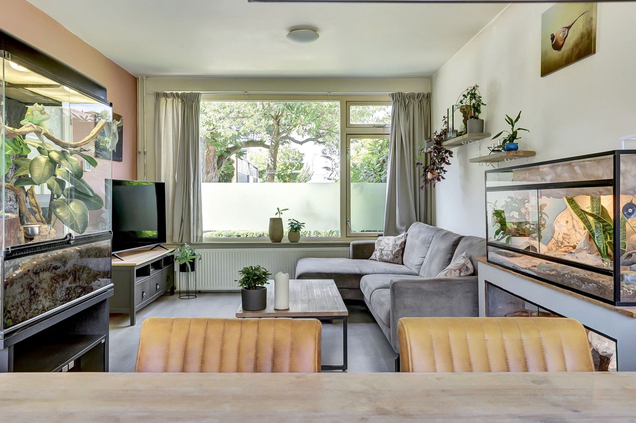 Photo 9 of Bolerostraat 71