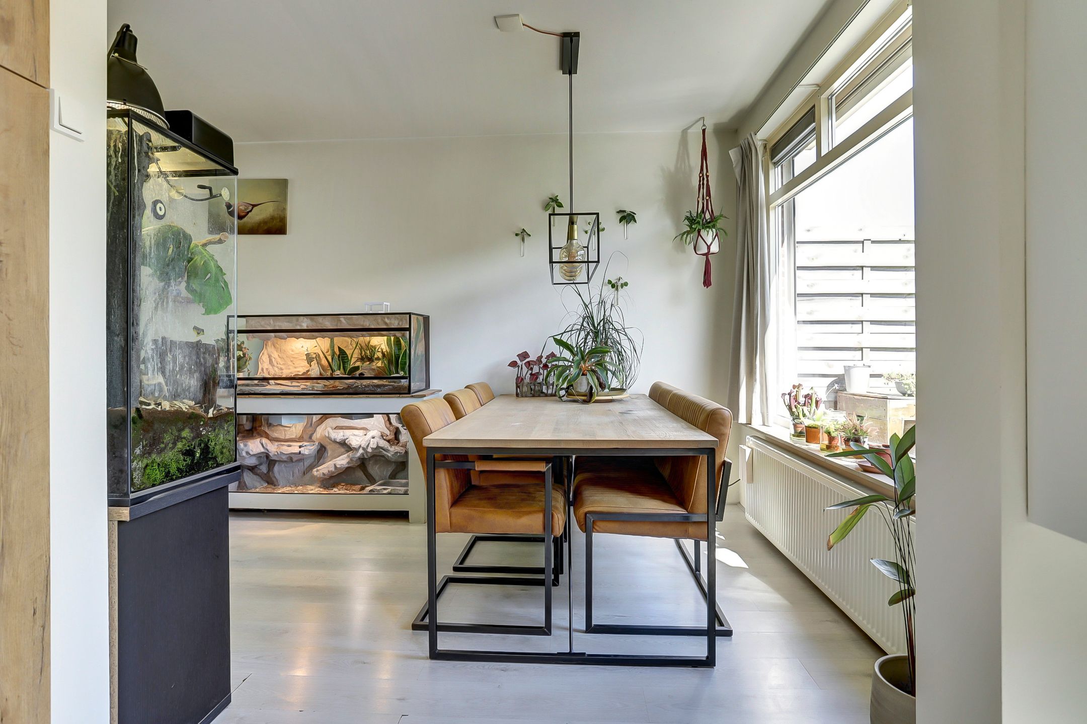 Photo 12 of Bolerostraat 71