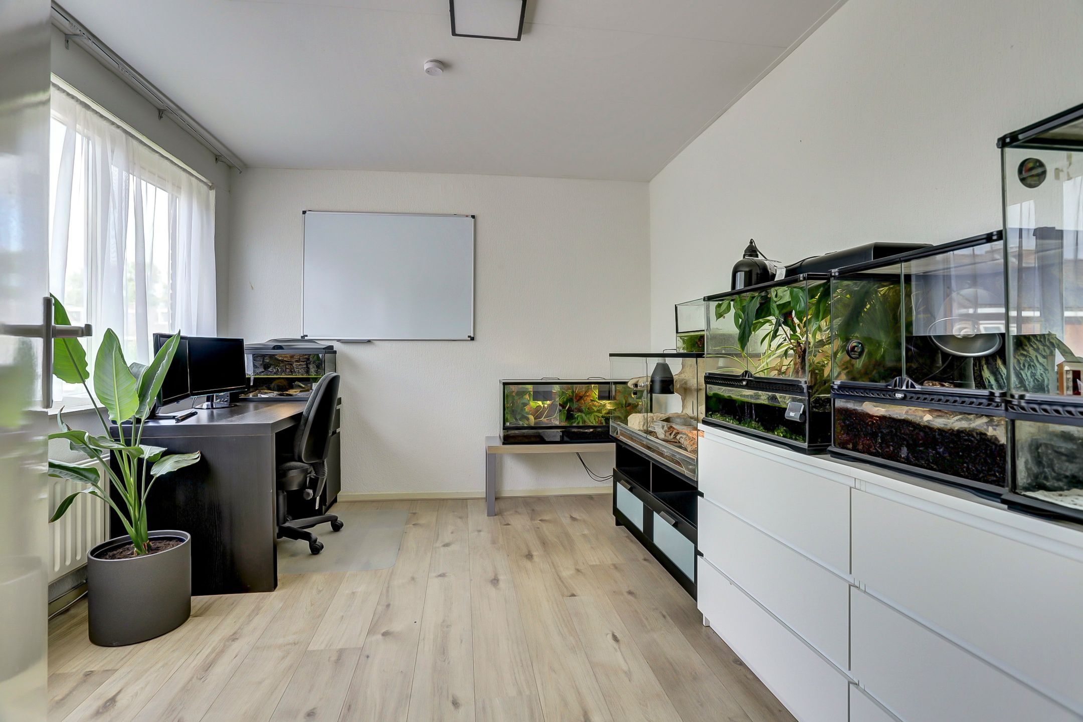 Photo 21 of Bolerostraat 71