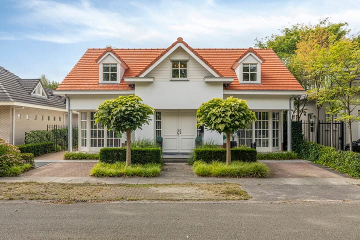 Photo 5 of Buddy Boldenlaan 41