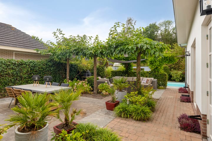 Photo 71 of Buddy Boldenlaan 41