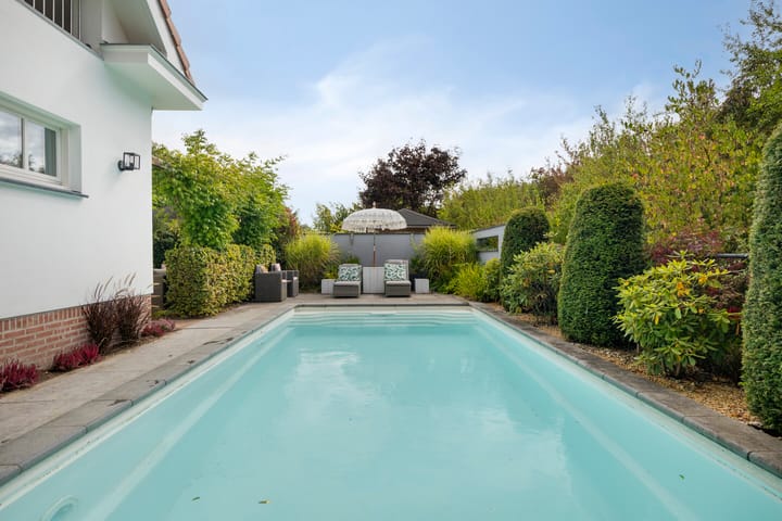 Photo 74 of Buddy Boldenlaan 41