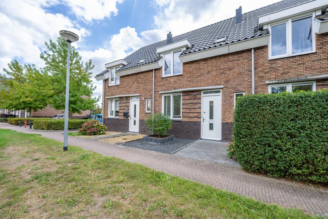 Foto 1 van Goudplevier 10