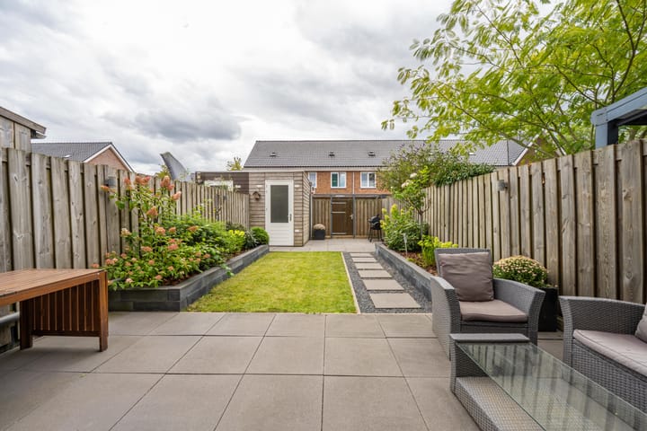 Foto 3 van Goudplevier 10