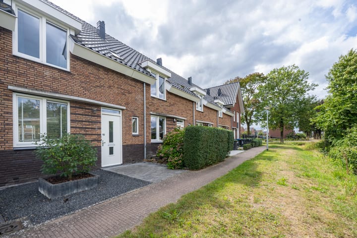 Foto 4 van Goudplevier 10