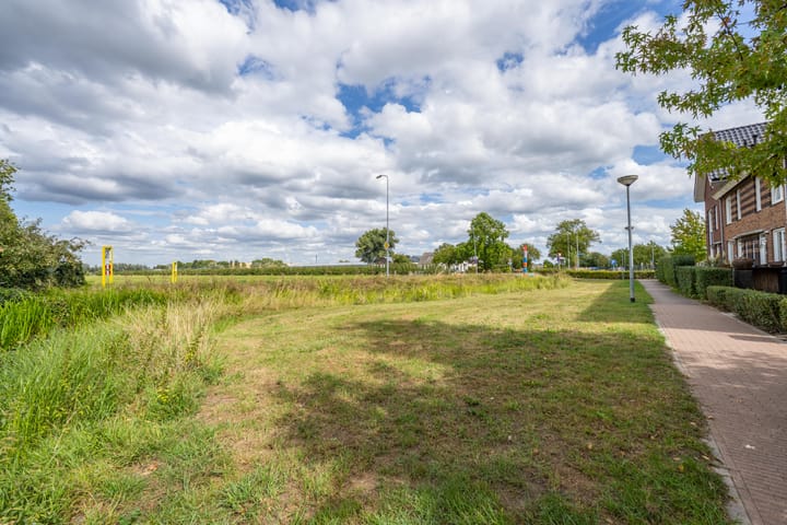 Foto 5 van Goudplevier 10