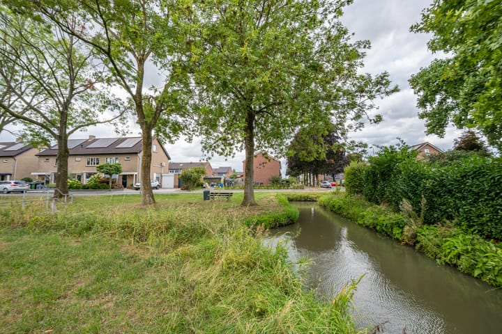 Foto 6 van Goudplevier 10