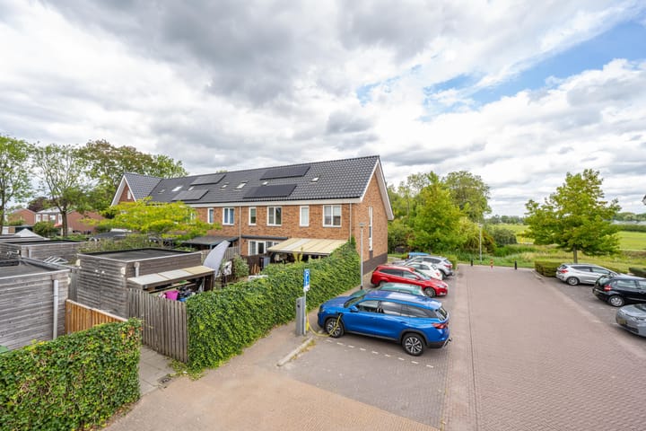 Foto 7 van Goudplevier 10