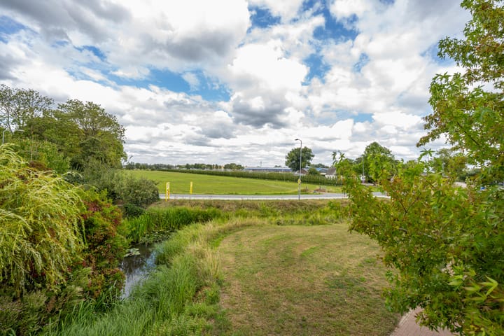 Foto 8 van Goudplevier 10