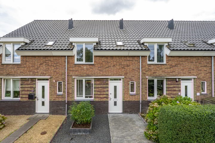 Foto 9 van Goudplevier 10