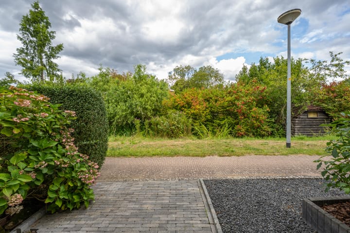 Foto 10 van Goudplevier 10