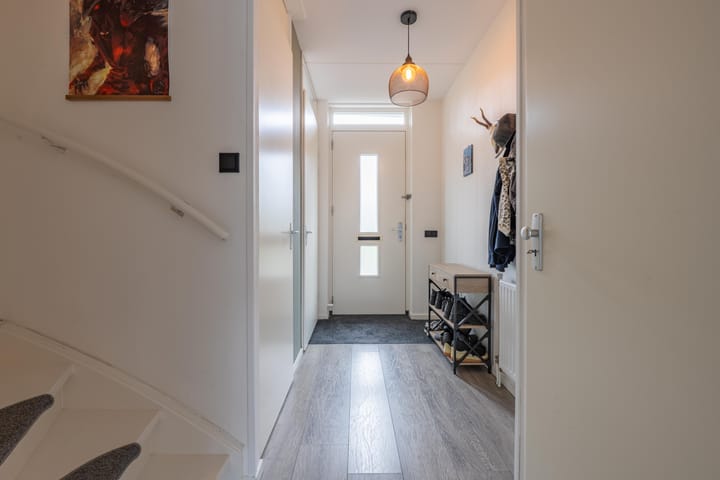 Foto 11 van Goudplevier 10