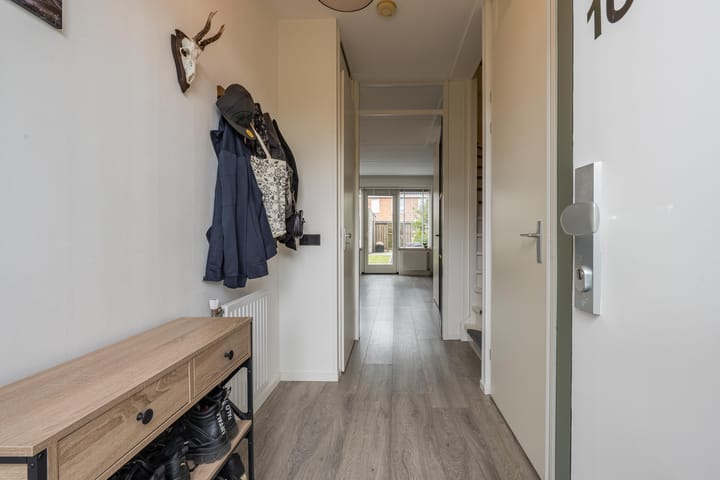 Foto 12 van Goudplevier 10