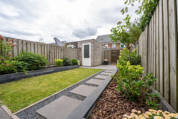 Foto 31 van Goudplevier 10