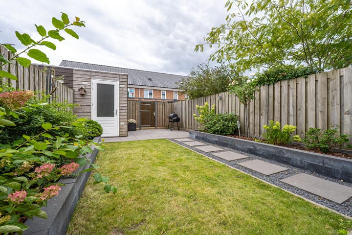 Foto 32 van Goudplevier 10