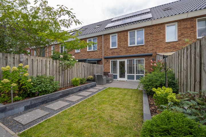 Foto 36 van Goudplevier 10