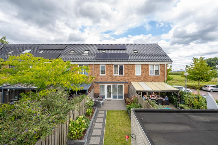 Foto 37 van Goudplevier 10