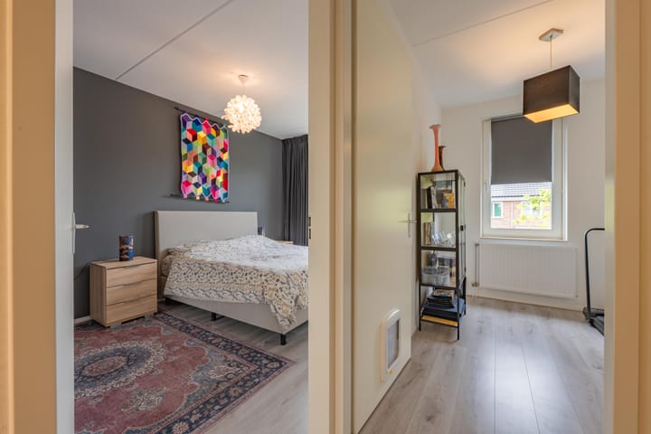 Foto 43 van Goudplevier 10