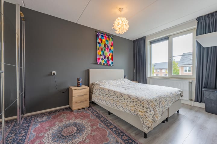 Foto 46 van Goudplevier 10