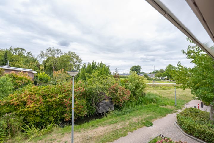 Foto 50 van Goudplevier 10